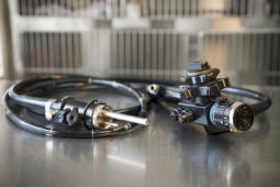 http://franklintnvet.com/wp-content/uploads/2012/01/img.endoscope.jpg